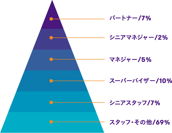 パートナー7%、シニアマネジャー2%、マネジャー5%、スーパーバイザー10%、シニアスタッフ7%、スタッフ・その他69%